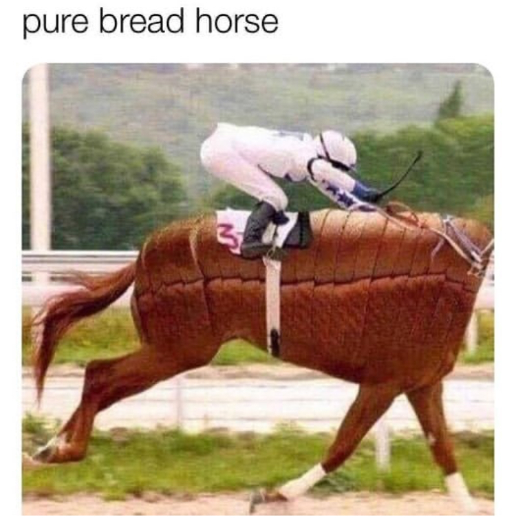86387026.jpg