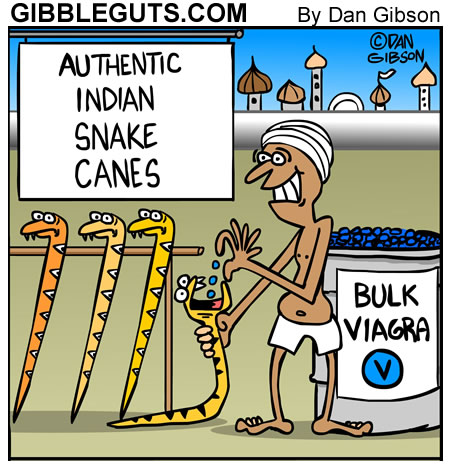snakecanes.jpg
