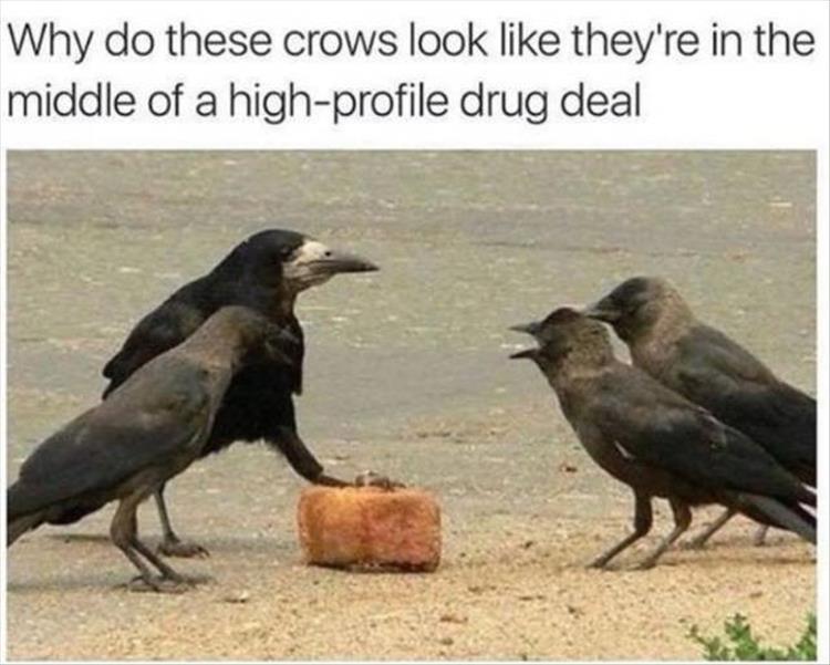 funny-snapchat-memes-2020-2.jpg
