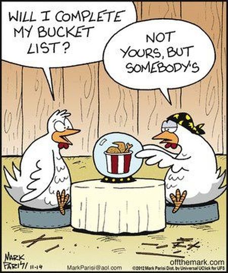 chicken-cartoon-1.jpg