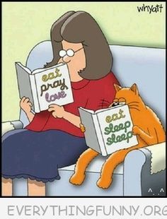 e4c56b73d52cb30a0850d9f88dc7c213--cat-life-cat-comics.jpg