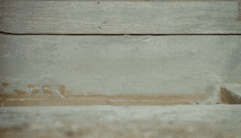 200.gif