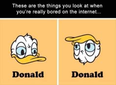306c0df5998f670147ab10b94a4f9cb0.jpg