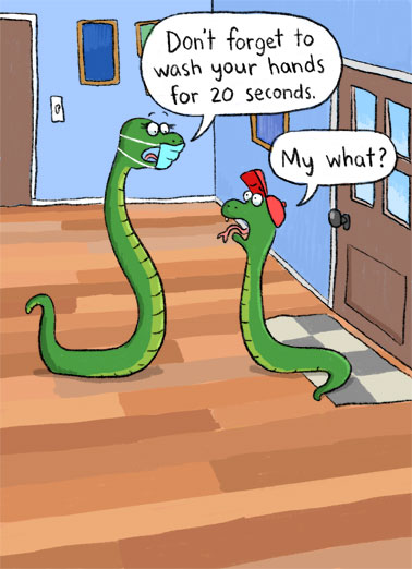 low_Wash%20Hands%20Snakes_cover.jpg