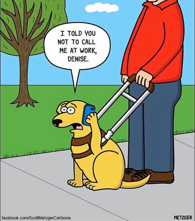cartoon.jpg