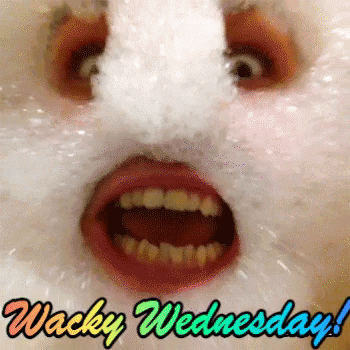giphy.gif