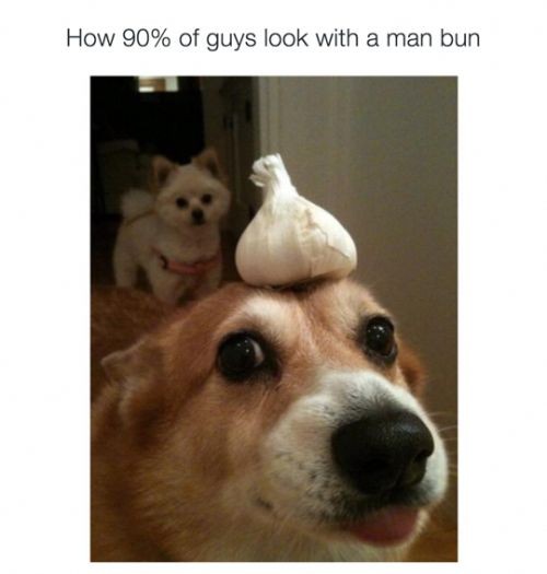 p0fthfyhnom31.jpg