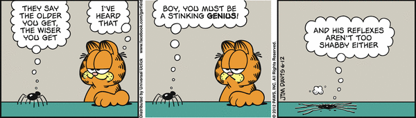 2446a01a11c83e7ce76ae37a08832ee7.gif