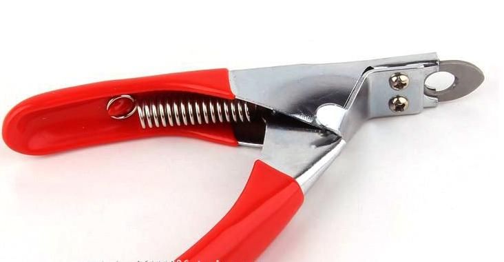 popular-great-pet-dog-cat-nail-scissors-clippers.jpg