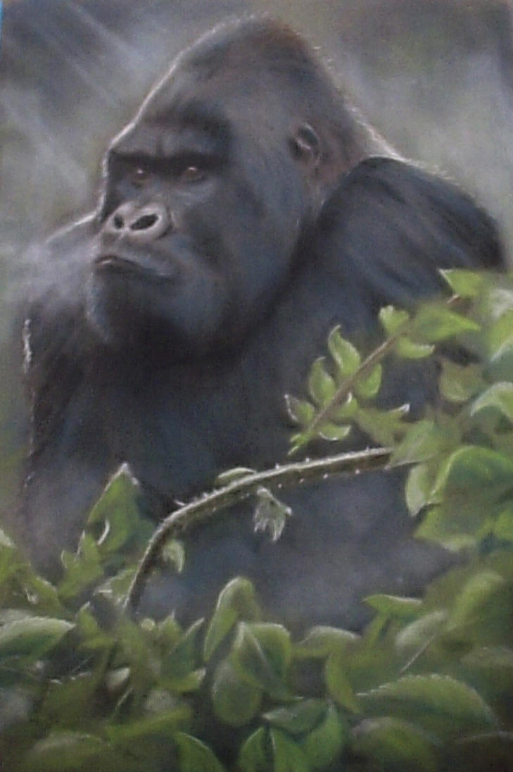 gorilla_in_the_mist_by_dixiedean-d5mju0z.jpg