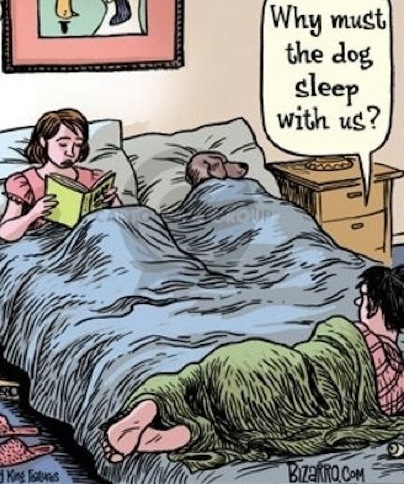 funny-relationship-joke-cartoon.jpg