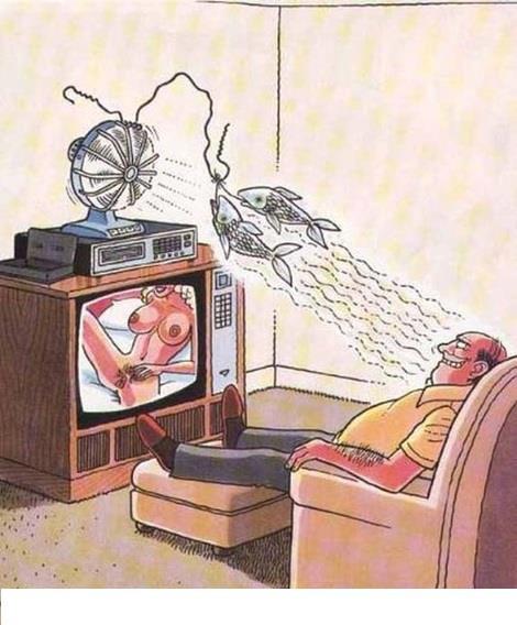 cartoon-watching-porn-with-fish-on-fan-on-top-of-TV.jpg