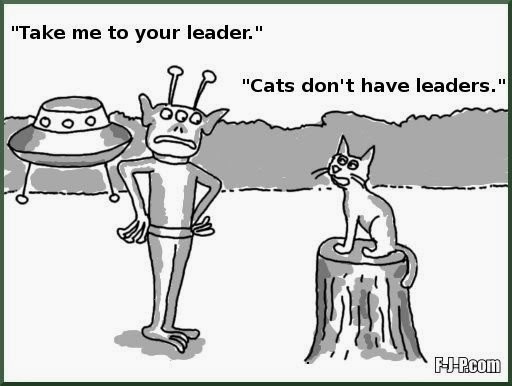 cat-cartoon-alien-leader.jpg