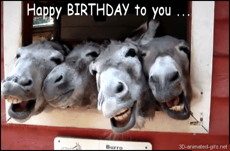 funny+happy+Birthday+to+you+photo+pics+ecards+gif+movies+gifs+animation+animated+.gif+format+free+download+donkey+animals+happy+birthday+quotes+funny+for+best+friends+quotes+images+email+1.gif
