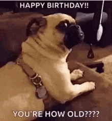 happy-birthday-how-old-are-you.gif
