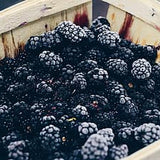 berry-blackberry-close-up-container-delicious-epicure-food-fruit-healthy-thumbnail_compact_cropped.jpg