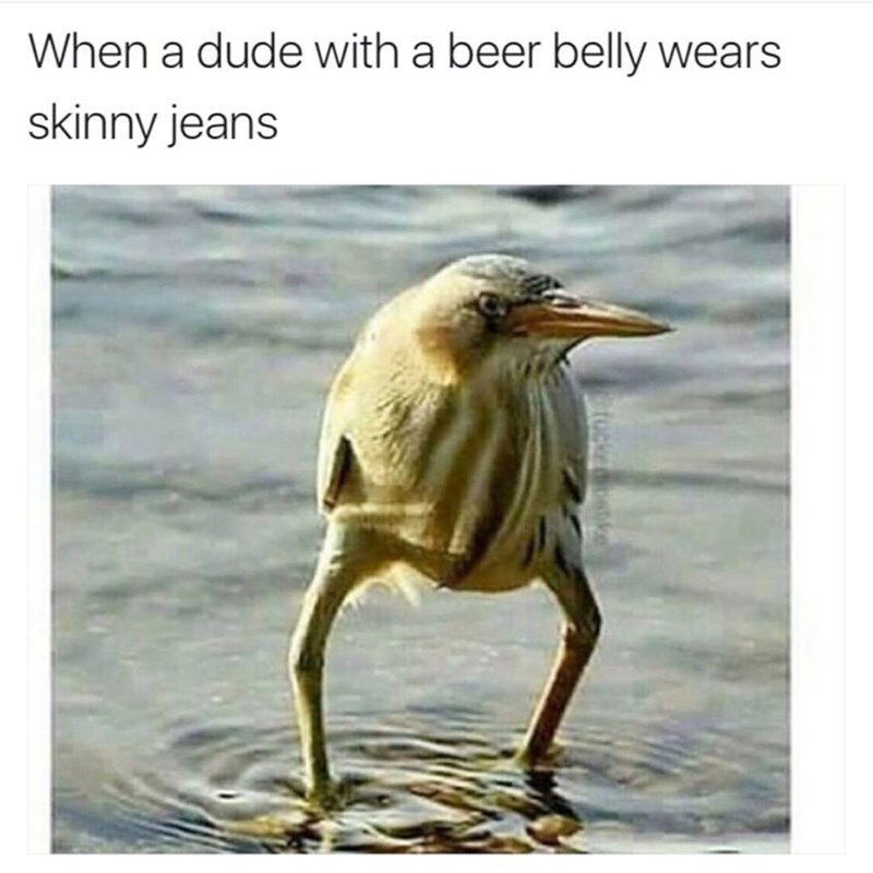 a-picture-of-a-funny-looking-bird-comparing-image-to-when-guys-with-beer-bellies-wear-skinny-jeans