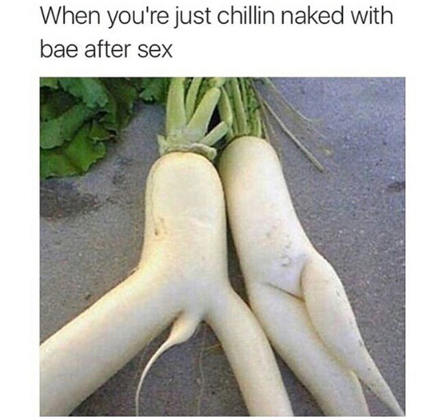 funny-memes-vegetable-when-youre-just-chillin-naked-with-bae-after-sex