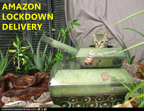 amazon-lockdown-delivery