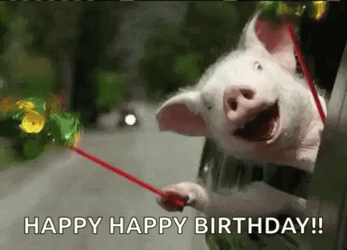 Exciting-Happy-Birthday-Gifs-And-Quotes-49137-4.gif