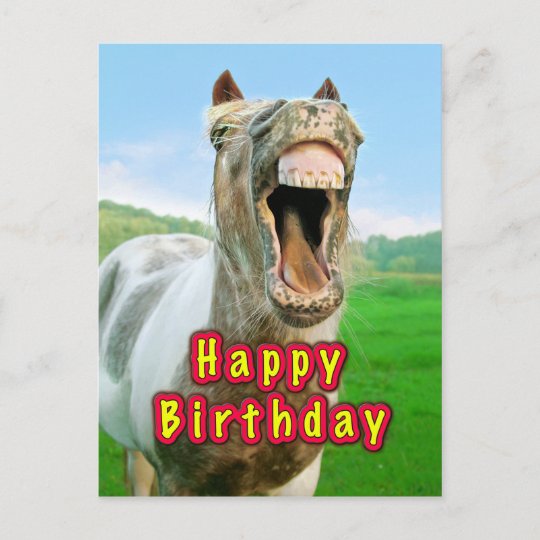 happy_birthday_from_the_happy_horse_postcard-r0e31c4d3245f4dd790569af4f555db92_ucbjp_540.jpg
