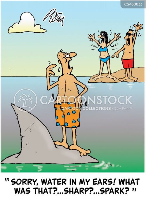 animals-shark-shark_attack-sea_swimming-sea_swimmers-ocean_swimmer-bfrn617_low.jpg