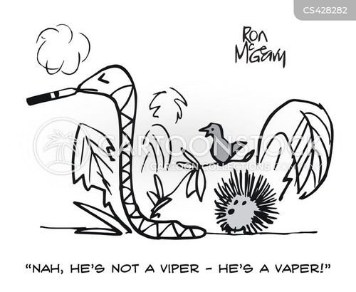environmental-issues-vapor-vapor_cigarettes-e_cigarettes-e_cigarettes-smoker-rmgn510_low.jpg