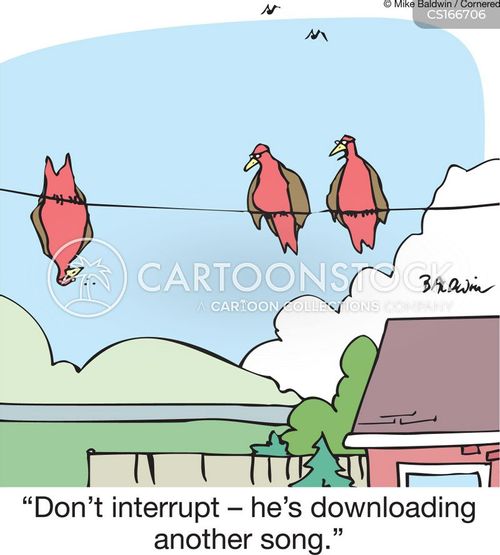 music-bird_on_a_wire-downloads-downloading_music-web-websites-mban3469_low.jpg