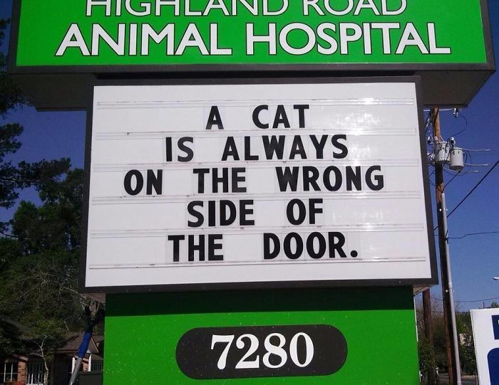 funny-veterinarian-signs-59ae5498a8104__700.jpg