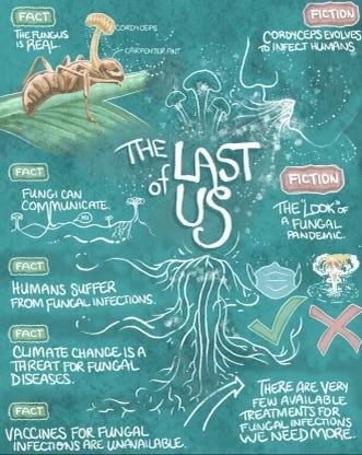 yourlocalepidemiologist.substack.com