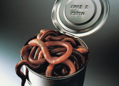 lt-can-of-worms-art-420x0.jpg