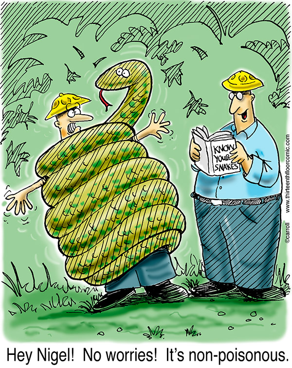 15_non-poisonous-snake-cartoon.jpg