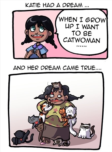 funny-picture-catwoman-dream-comics.jpg
