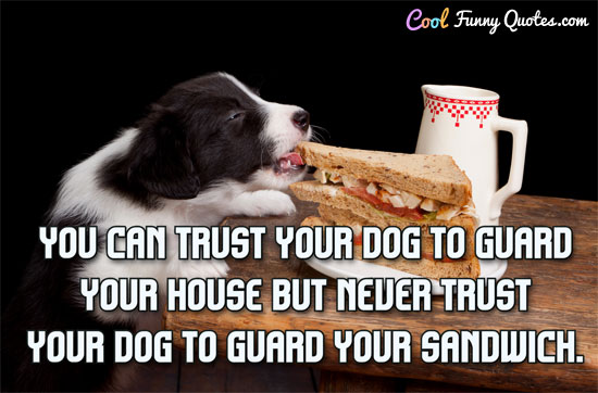 trust-dog-sandwich.jpg