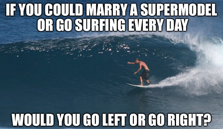 surfingmeme26.jpg